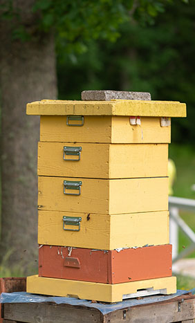 Honey Harvesting Tools